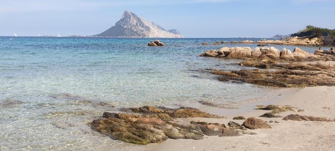 Magic Dalu Con Posto Auto Apartment Olbia Luaran gambar